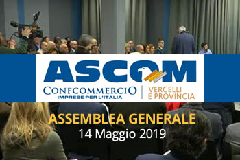 Assemblea Generale