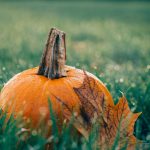 NOVEMBRE 2019: TUTTI GLI APPUNTAMENTI